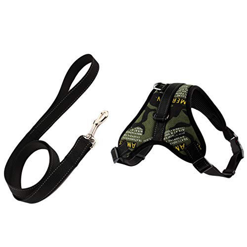 Lckiioy Hunde Geschirr Leine Set Einstellbare Atmungsaktive Hund Katze Kragen Weste Harness für Hund Welpen Haustier Brust Gurt Hunde ZubehöR Brief M von Lckiioy