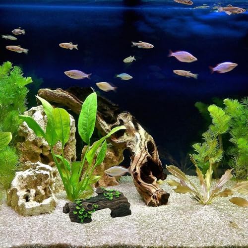 Ldabrye Aquarien Fische Verstecken Höhlendekoration Schildkröten Versteckt Höhlenfische Verstecken Lebensraum Für Schildkröten Und Reptilien Vivarium Landschaft von Ldabrye