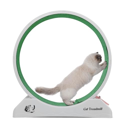 LeFeirr Katzen-Trainingsrad – Kunststoff-Katzenrad für Indoor-Katzen, Katzenlaufrad mit Teppich-Landebahn, ultra-einfache Installation, graues Katzenlaufband für die Gesundheit des Kätzchens, LeFeirr Katzen-Trainingsrad – Kunststoff-Katzenrad für Indoor-Katzen, Katzenlaufrad mit Teppich-Landebahn, ultra-einfache Installation, graues Katzenlaufband für die Gesundheit des Kätzchens, von LeFeirr
