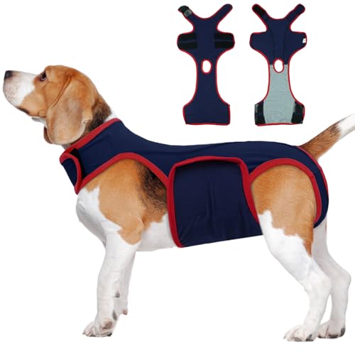 LeLePet Hunde-Operationsanzug, postoperative Hundeanzug für Männer und Frauen, verstellbarer medizinischer Genesungsanzug für Hunde nach Operationen, weicher chirurgischer Anzug für Wundschutz, Blau LeLePet Hunde-Operationsanzug, postoperative Hundeanzug für Männer und Frauen, verstellbarer medizinischer Genesungsanzug für Hunde nach Operationen, weicher chirurgischer Anzug für Wundschutz, Blau von LeLePet