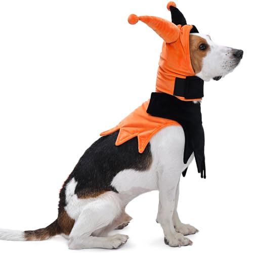 Lelepet Hunde-Halloween-Kostüm mit Hut und Umhang, lustiges Hundekostüm, Haustier-Halloween-Cosplay-Outfit, Party-Dress Up für Süßes oder Saures, Urlaubskleidung für kleine, mittelgroße und große von LeLePet