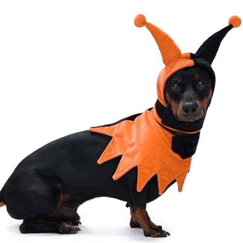 Lelepet Hunde-Halloween-Kostüm mit Hut und Umhang, lustiges Hundekostüm, Haustier-Halloween-Cosplay-Outfit, Party-Dress Up für Süßes oder Saures, Urlaubskleidung für kleine, mittelgroße und große von LeLePet