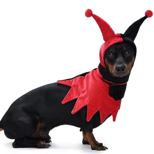 Lelepet Hunde-Halloween-Kostüm mit Hut und Umhang, lustiges Hundekostüm, Haustier-Halloween-Cosplay-Outfit, Party-Dress Up für Süßes oder Saures, Urlaubskleidung für kleine, mittelgroße und große von LeLePet