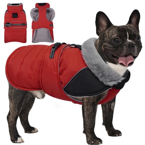 Lelepet Hunde-Wintermantel, wasserdicht, warme Welpenjacke mit reflektierenden Streifen, mit Fleece gefüttert, verstellbare Passform für mittelgroße Hunde, winddichte Hundeweste für kaltes Wetter, Rot Lelepet Hunde-Wintermantel, wasserdicht, warme Welpenjacke mit reflektierenden Streifen, mit Fleece gefüttert, verstellbare Passform für mittelgroße Hunde, winddichte Hundeweste für kaltes Wetter, Rot von LeLePet