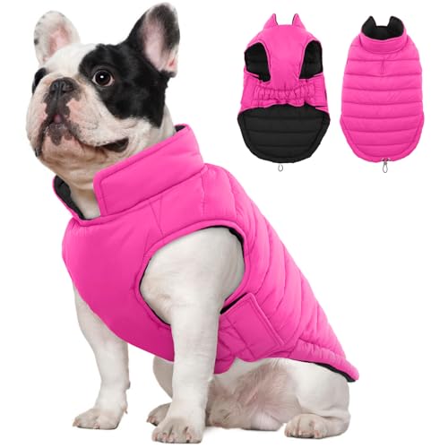Lelepet Hundemantel Winter Jacke für Kleine Hunde, Wasserdicht Warmer Hunde Winterjacke, Wendbarer Winddicht Hundejacke mit Klettverschluss, Rosa S Lelepet Hundemantel Winter Jacke für Kleine Hunde, Wasserdicht Warmer Hunde Winterjacke, Wendbarer Winddicht Hundejacke mit Klettverschluss, Rosa S von LeLePet