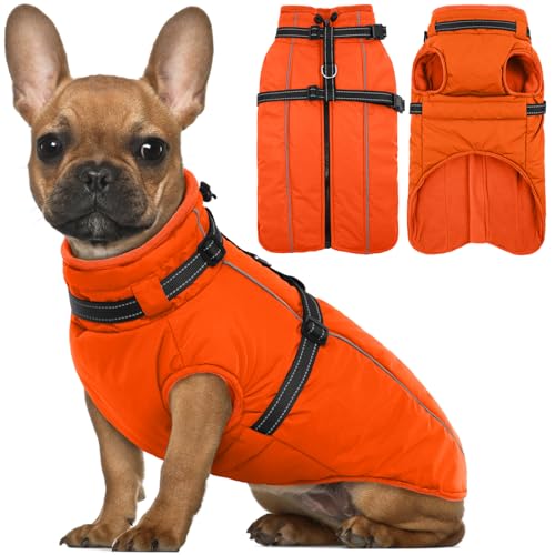 Lelepet Hundemantel für den Winter, Warme Hundejacke mit integriertem Geschirr, Winddicht Mantel mit Fleece Gefüttert für Hunde, Reflektierende Hundeweste für Kaltes Wetter, Orange S Lelepet Hundemantel für den Winter, Warme Hundejacke mit integriertem Geschirr, Winddicht Mantel mit Fleece Gefüttert für Hunde, Reflektierende Hundeweste für Kaltes Wetter, Orange S von LeLePet