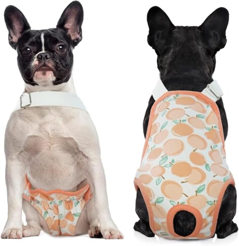 Lelepet Hundewindeln für Hündinnen, Waschbar Windeln für Hunde mit Verstellbarem Strumpfhalter, Wiederverwendbare Hunde Periodenhose, Hündinnen Läufigkeitshose Welpenwindeln, Orange L Lelepet Hundewindeln für Hündinnen, Waschbar Windeln für Hunde mit Verstellbarem Strumpfhalter, Wiederverwendbare Hunde Periodenhose, Hündinnen Läufigkeitshose Welpenwindeln, Orange L von LeLePet
