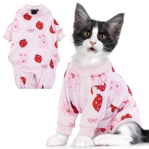 Lelepet Katzen-Genesungsanzug, Body nach Operationen, medizinisches Hemd, Kätzchen-Einteiler, E-Kragen-Alternative für Katzen, spay-Kleidung, Anti-Leck-Anzug für Bauchwunde oder Hautkrankheiten, Rosa, von LeLePet