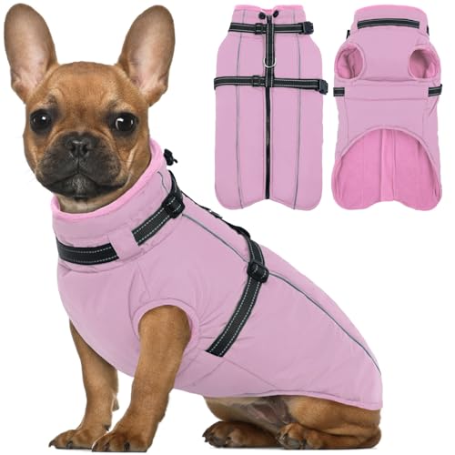 Lelepet Kleiner Hundemantel mit Geschirr, warme, wasserdichte Fleecejacke, Winter, reflektierende Weste, Schneeanzug für Chihuahua, Malteser, Rosa, XS Lelepet Kleiner Hundemantel mit Geschirr, warme, wasserdichte Fleecejacke, Winter, reflektierende Weste, Schneeanzug für Chihuahua, Malteser, Rosa, XS von LeLePet