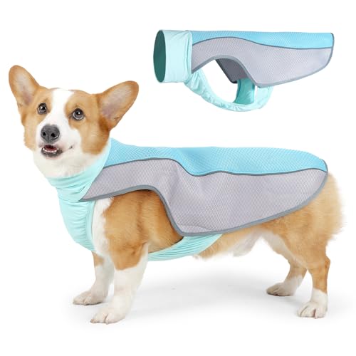 Lelepet Kühlweste für Hunde, Sommer-Kühljacke für kleine, mittelgroße und große Hunde, verdunstender Hunde-Kühlmantel, Sicherheits-Sonnenschutz, Kühlweste, atmungsaktive Hunde-Mesh-Eisweste für Lelepet Kühlweste für Hunde, Sommer-Kühljacke für kleine, mittelgroße und große Hunde, verdunstender Hunde-Kühlmantel, Sicherheits-Sonnenschutz, Kühlweste, atmungsaktive Hunde-Mesh-Eisweste für von LeLePet