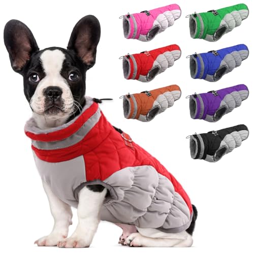 Lelepet Wasserdicht Hundemantel, Winter Winddicht Hundejacke mit Geschirr, Warme Reflektierend Schneeanzug Winterweste, Kaltes Wetter Hundepullover für Kleine Mittlere Große Hunde (Rot, S) Lelepet Wasserdicht Hundemantel, Winter Winddicht Hundejacke mit Geschirr, Warme Reflektierend Schneeanzug Winterweste, Kaltes Wetter Hundepullover für Kleine Mittlere Große Hunde (Rot, S) von LeLePet