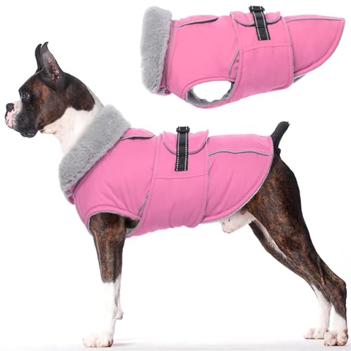 Lelepet Hundemantel Winterweste Reflektierende Fleece Hundejacke für Mittelgroße Hunde Wasserdicht Hundejacke Wintermantel Warme Winterjacke mit Verstellbarer Schnalle, Rosa L Lelepet Hundemantel Winterweste Reflektierende Fleece Hundejacke für Mittelgroße Hunde Wasserdicht Hundejacke Wintermantel Warme Winterjacke mit Verstellbarer Schnalle, Rosa L von LeLePet