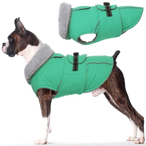 Lelepet Hundemantel Winterweste Reflektierende Fleece Hundejacke für Mittelgroße Hunde Wasserdicht Hundejacke Wintermantel Warme Winterjacke mit Verstellbarer Schnalle, Grün M Lelepet Hundemantel Winterweste Reflektierende Fleece Hundejacke für Mittelgroße Hunde Wasserdicht Hundejacke Wintermantel Warme Winterjacke mit Verstellbarer Schnalle, Grün M von LeLePet