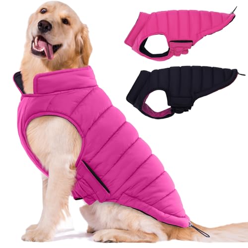 Lelepet Wendbare Hundejacke, warmer Hundemantel, ultraleicht, winddicht, gepolsterte Weste für kleine, mittelgroße und große Hunde, Wintermäntel mit Haken und Schlaufe, fusselfrei, einfaches An- und Lelepet Wendbare Hundejacke, warmer Hundemantel, ultraleicht, winddicht, gepolsterte Weste für kleine, mittelgroße und große Hunde, Wintermäntel mit Haken und Schlaufe, fusselfrei, einfaches An- und von LeLePet