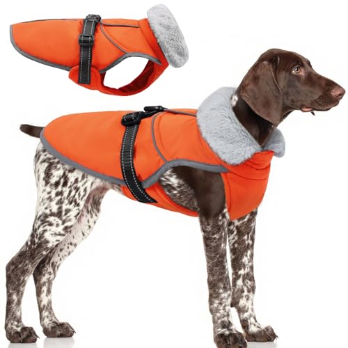 Lelepet Winter-Hundejacke, reflektierender warmer Mantel mit Schnalle, wasserdichtes Fleecefutter, Hundeweste für kaltes Wetter, weicher Wintermantel für große Hunde, Orange XL von LeLePet