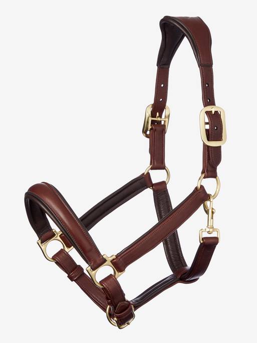 LeMieux Anatomic Lederhalfter Brown, Cob LeMieux Anatomic Lederhalfter Brown, Cob von LeMieux