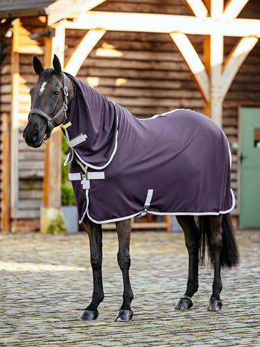 LeMieux Arika DryEase Decke, leicht, feuchtigkeitsableitend, integrierter Hals, Wacholder, 190,5 cm LeMieux Arika DryEase Decke, leicht, feuchtigkeitsableitend, integrierter Hals, Wacholder, 190,5 cm von LeMieux