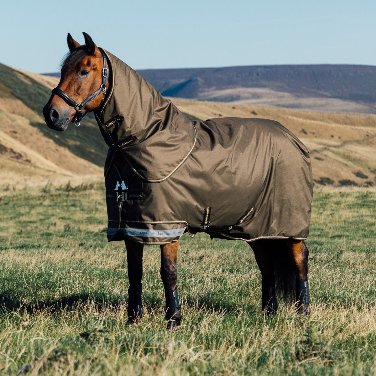 LeMieux Arika Ripstop 0g Turnout Rug Alpine, 145 cm LeMieux Arika Ripstop 0g Turnout Rug Alpine, 145 cm von LeMieux