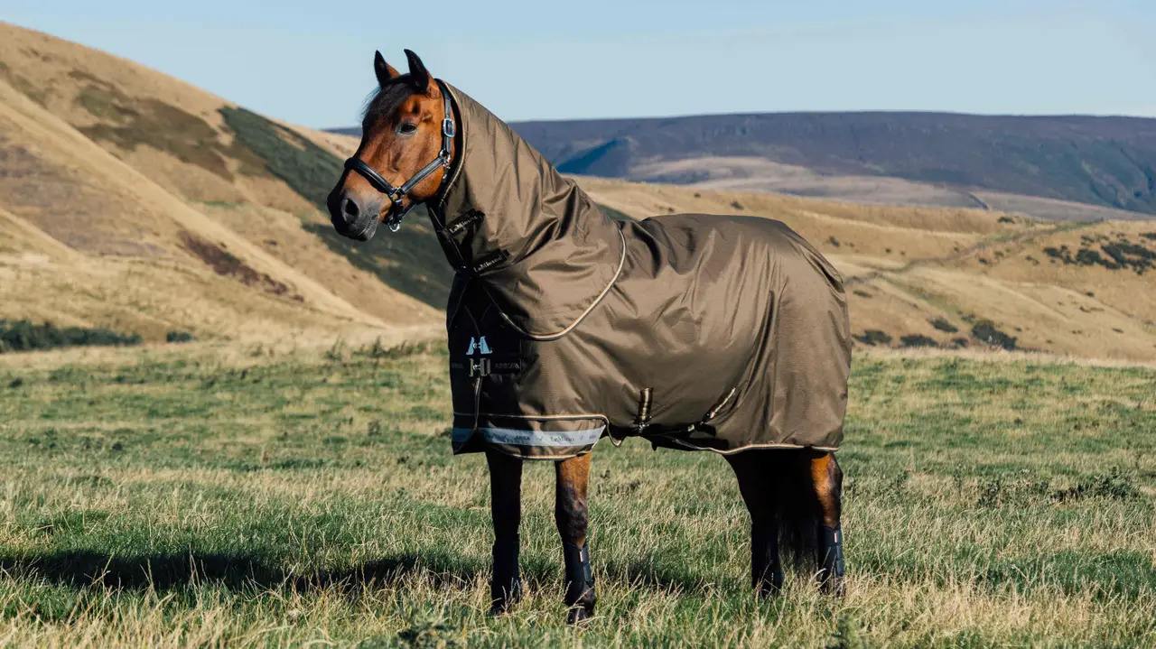 LeMieux Arika Ripstop 100g Turnout Rug Alpine, 125 cm LeMieux Arika Ripstop 100g Turnout Rug Alpine, 125 cm von LeMieux