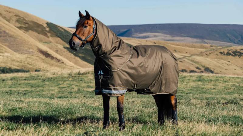 LeMieux Arika Ripstop 100g Turnout Rug Alpine, 155 cm LeMieux Arika Ripstop 100g Turnout Rug Alpine, 155 cm von LeMieux