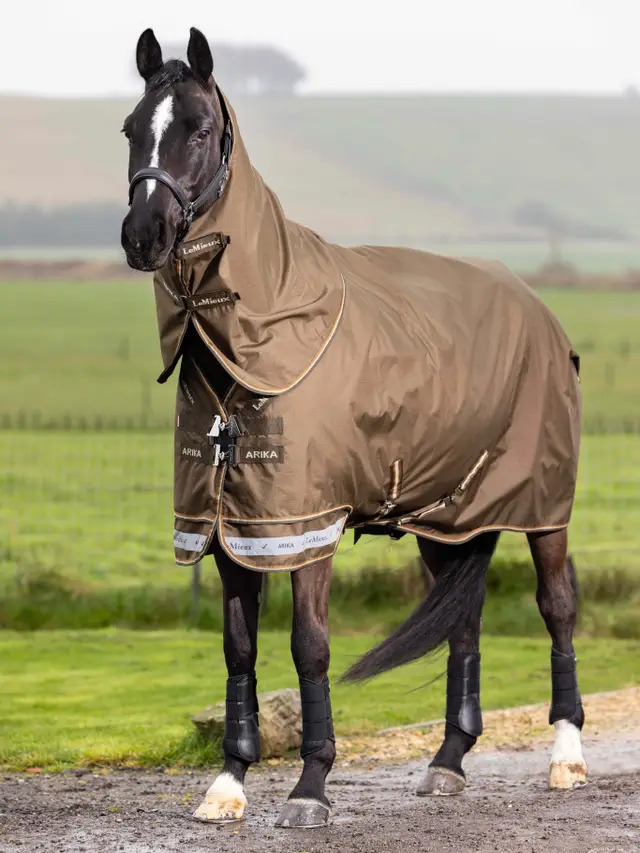 LeMieux Arika Ripstop 200g Turnout Rug Alpine, 165 cm LeMieux Arika Ripstop 200g Turnout Rug Alpine, 165 cm von LeMieux
