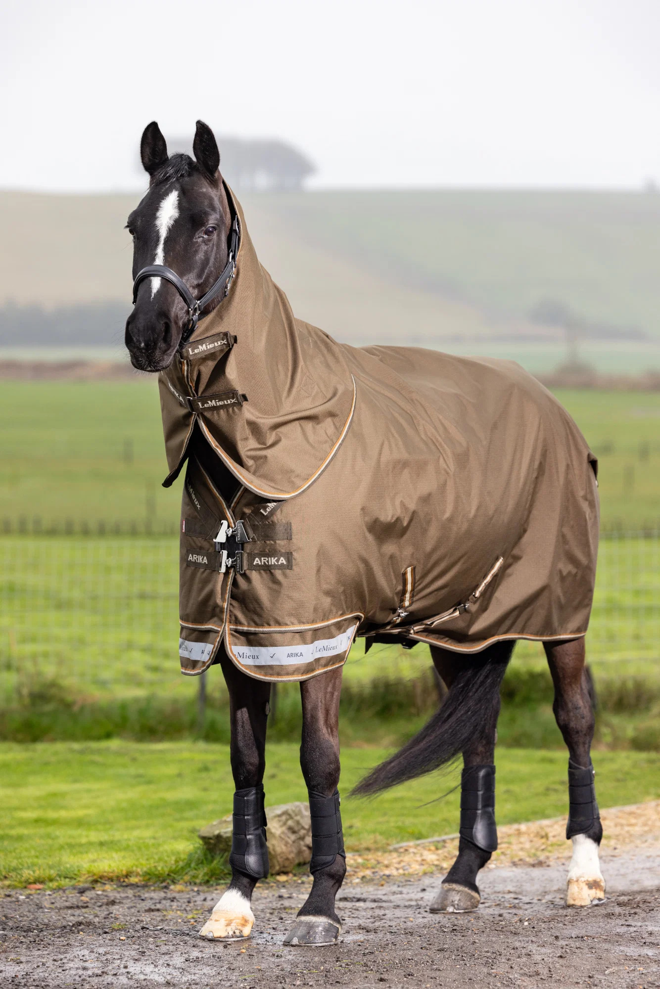 LeMieux Arika Ripstop 50g Turnout Rug Alpine, 125 cm LeMieux Arika Ripstop 50g Turnout Rug Alpine, 125 cm von LeMieux