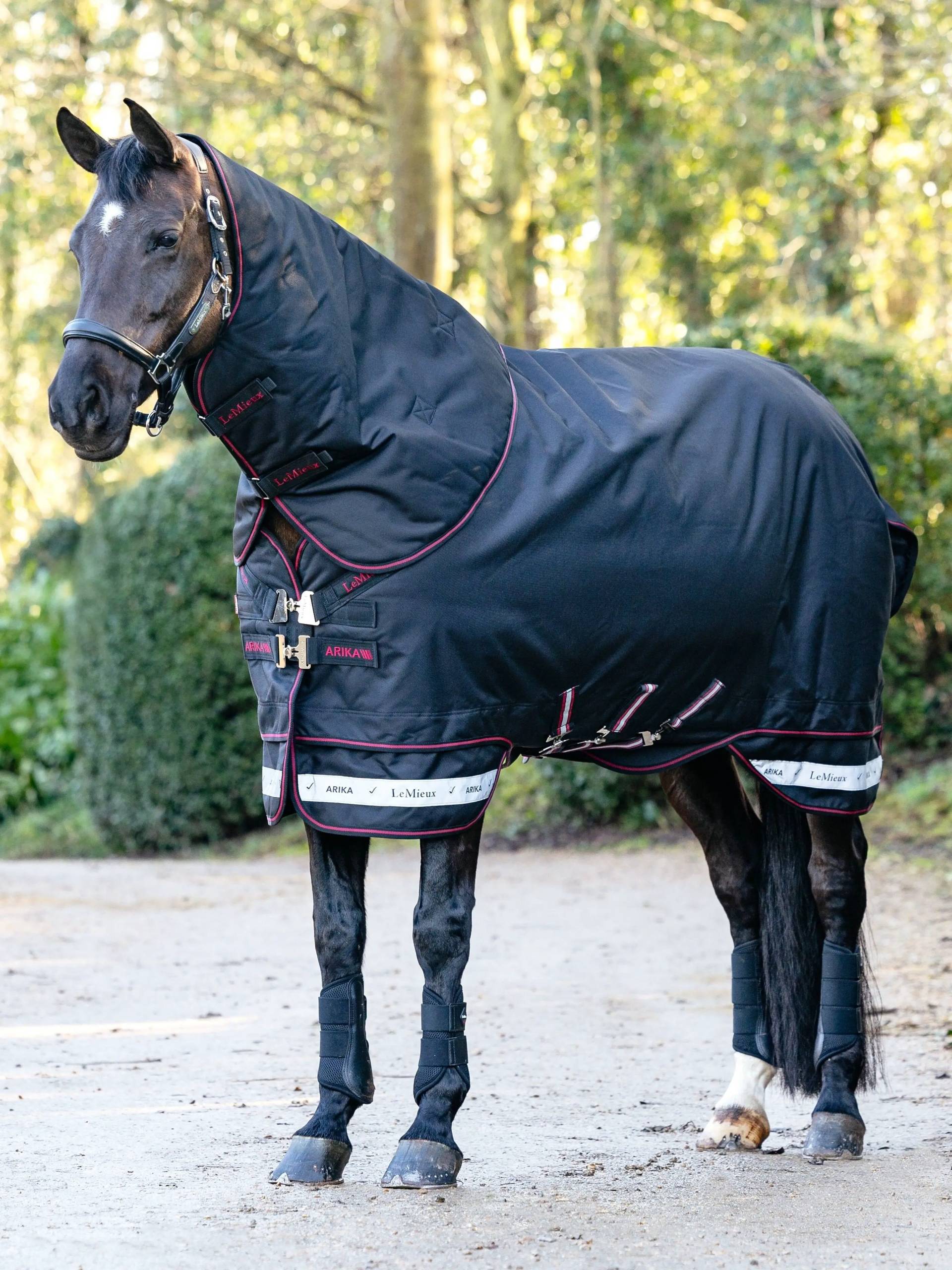 LeMieux Arika Storm-Tek Rug 100g Black, 165 cm LeMieux Arika Storm-Tek Rug 100g Black, 165 cm von LeMieux