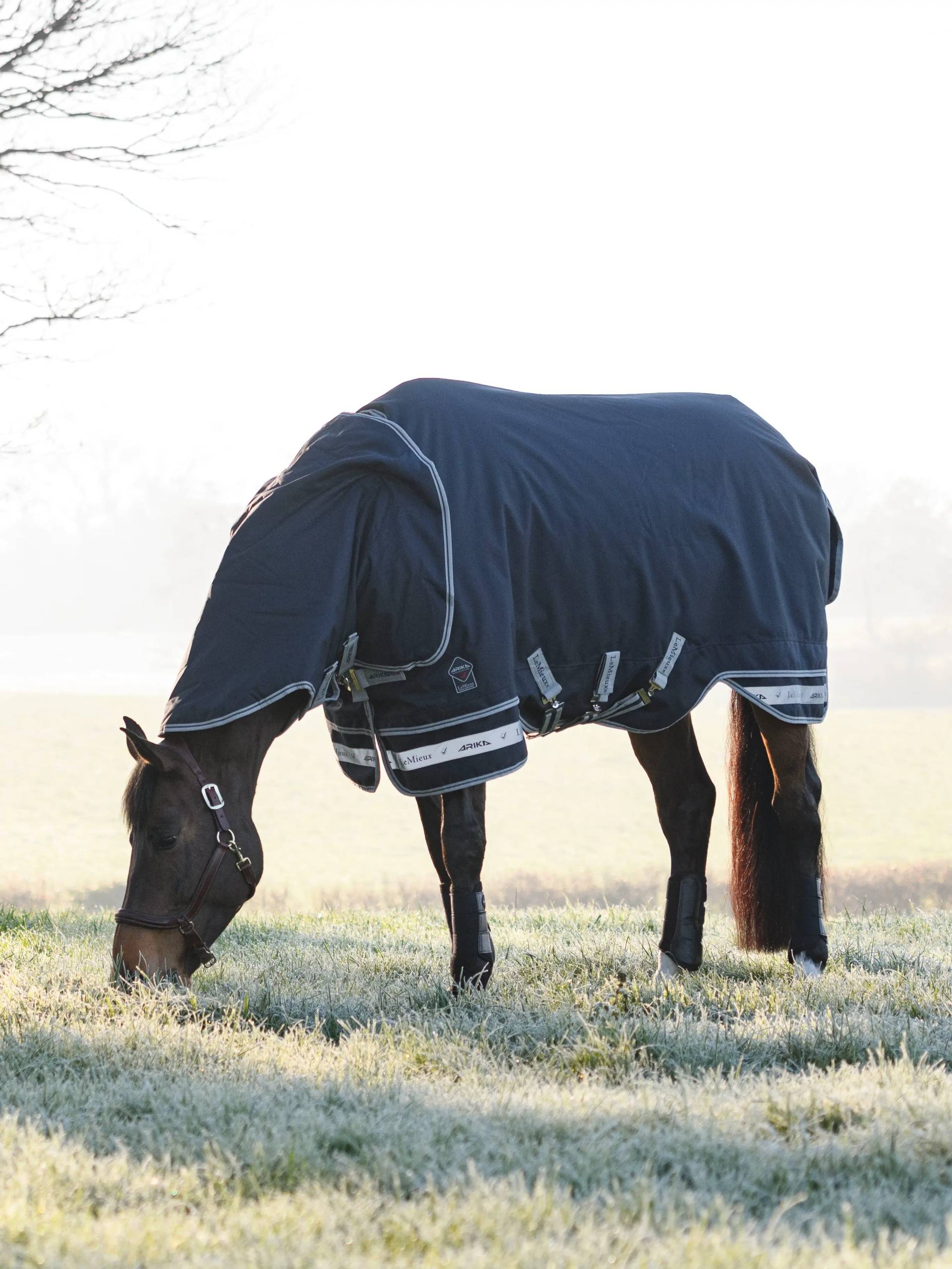 LeMieux Arika Storm-Tek Rug 100g Navy, 140 cm LeMieux Arika Storm-Tek Rug 100g Navy, 140 cm von LeMieux