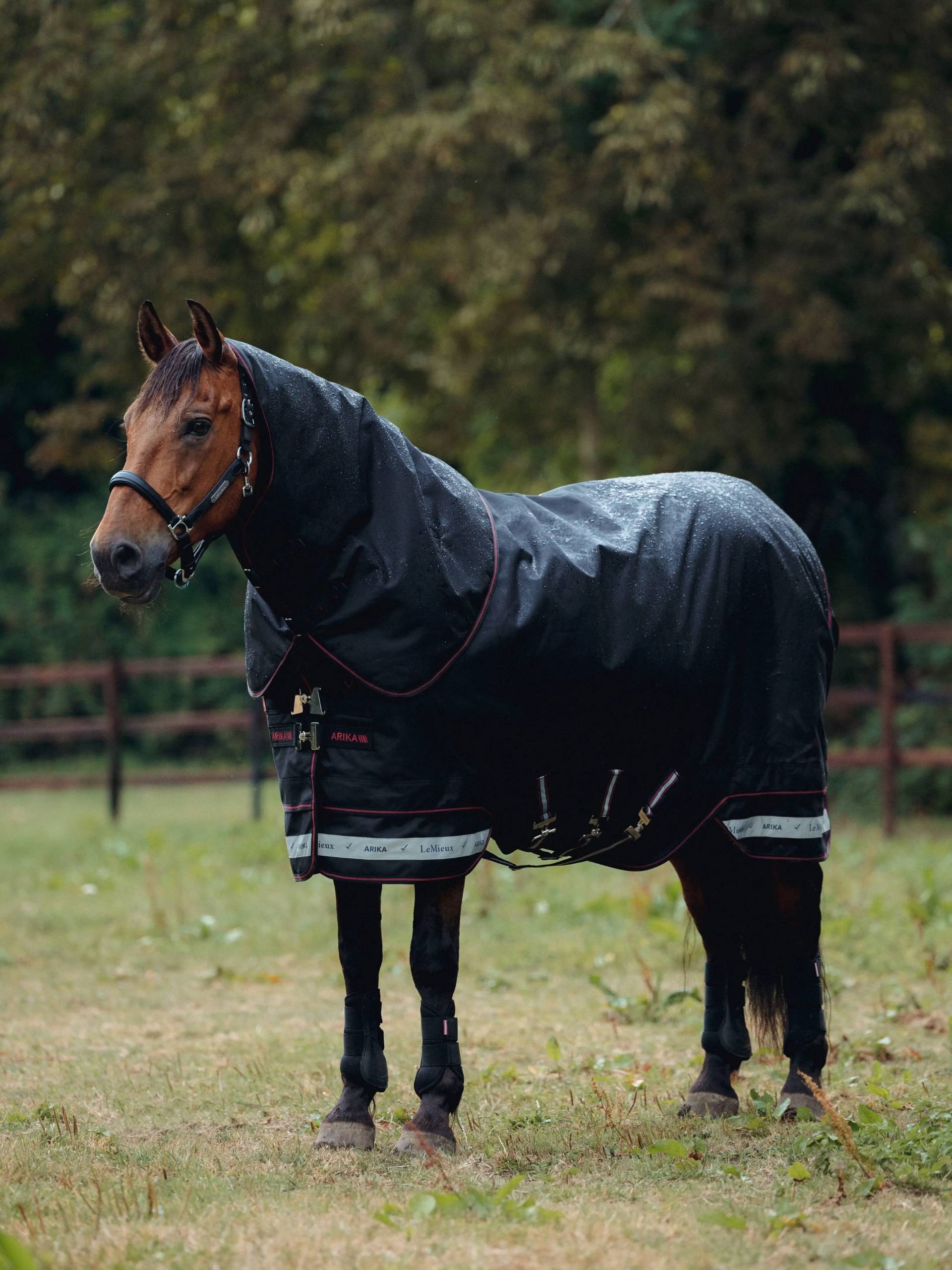 LeMieux Arika Storm-Tek Rug 200g Black, 145 cm LeMieux Arika Storm-Tek Rug 200g Black, 145 cm von LeMieux