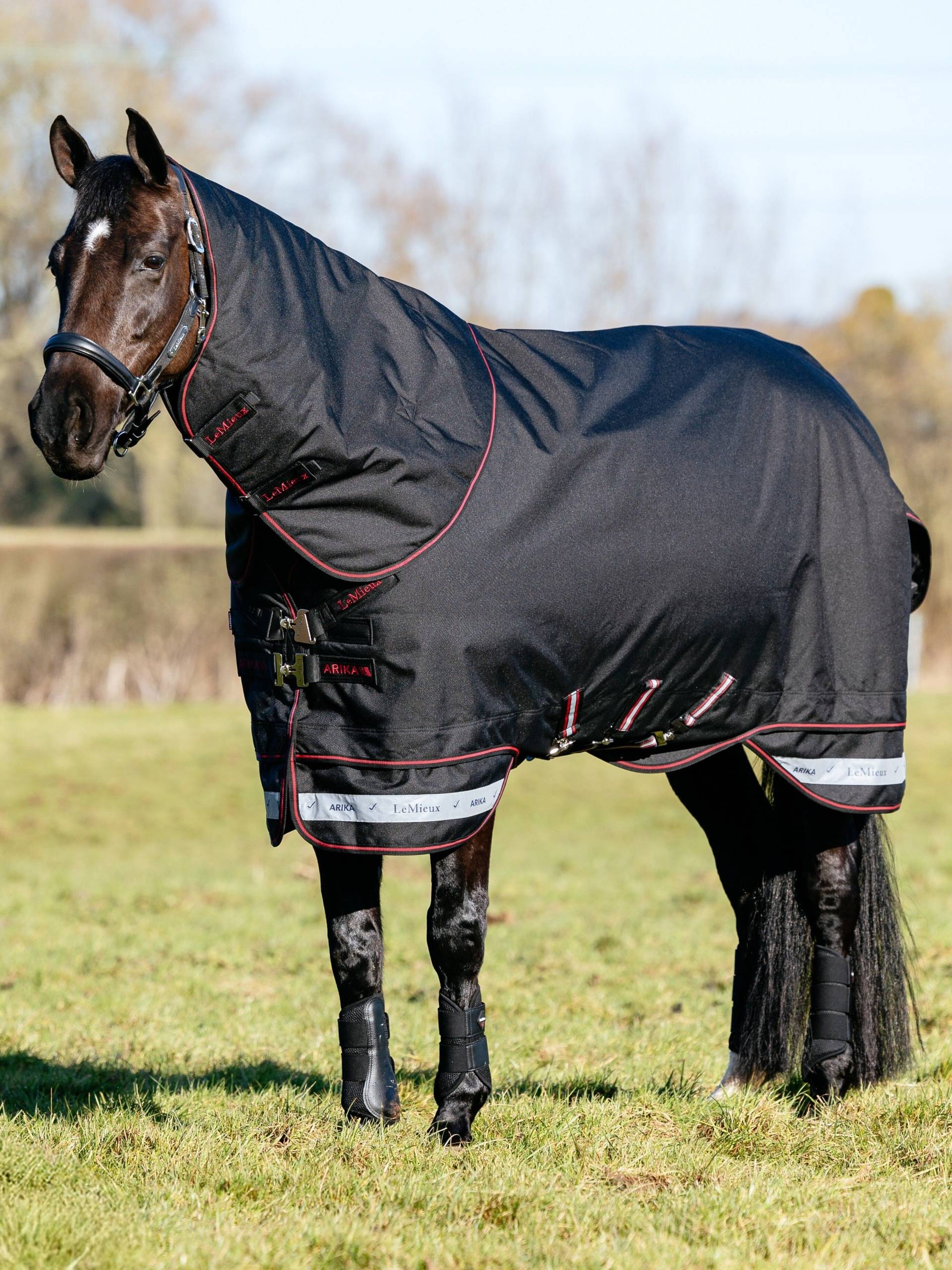 LeMieux Arika Storm-Tek Rug 50g Black, 155 cm LeMieux Arika Storm-Tek Rug 50g Black, 155 cm von LeMieux