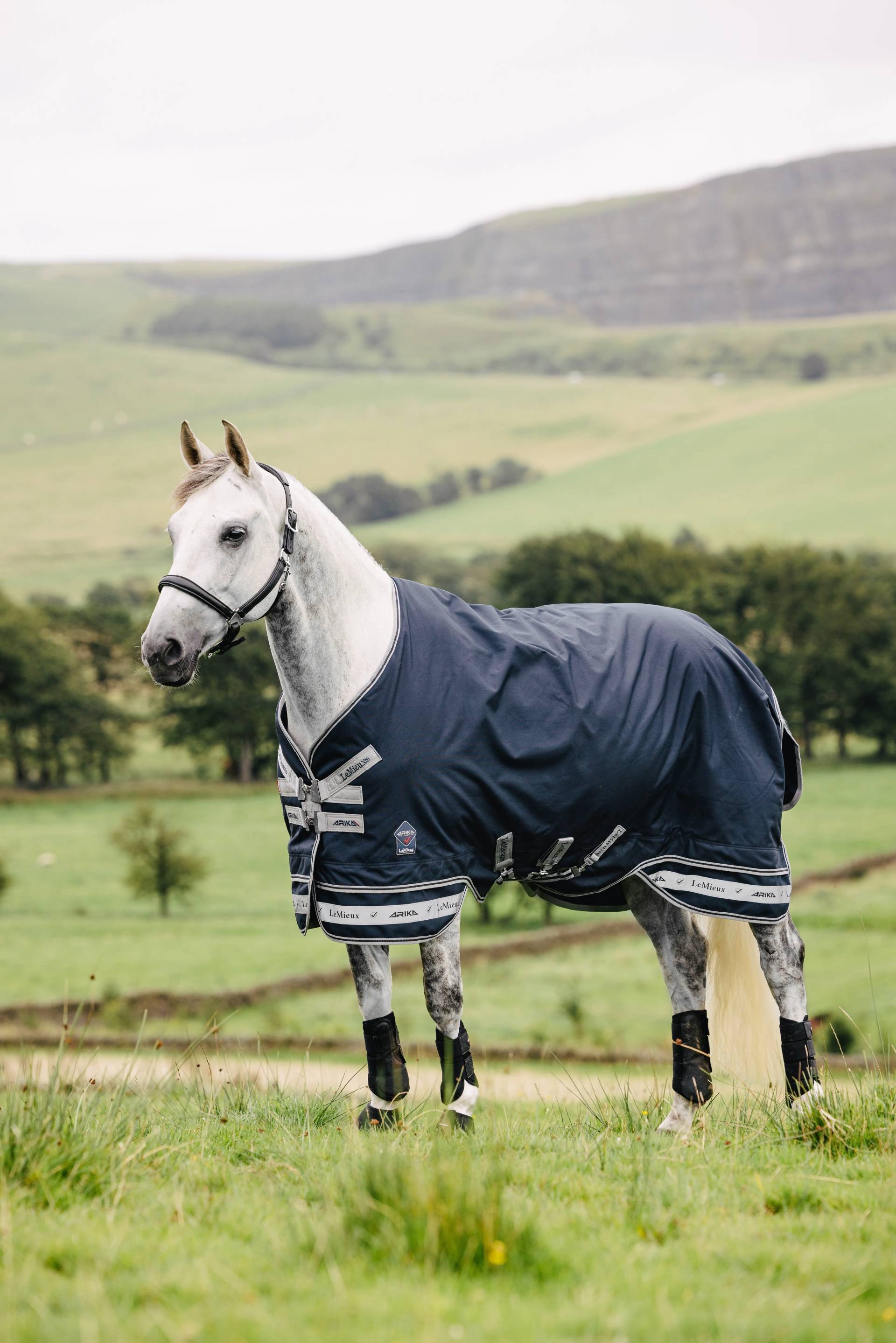 LeMieux Arika Storm-Tek Rug 50g Navy, 125 cm LeMieux Arika Storm-Tek Rug 50g Navy, 125 cm von LeMieux