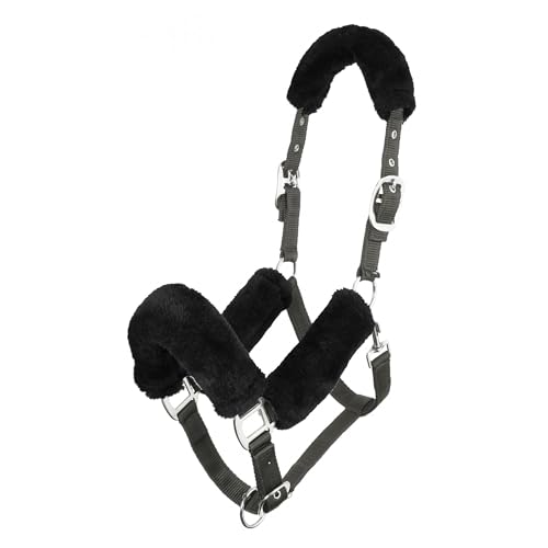 LeMieux Comfort Halfter für Pferde - Schwarz/Grau - Weiches Fleecefutter - Verstellbar & Strapazierfähig - X Full LeMieux Comfort Halfter für Pferde - Schwarz/Grau - Weiches Fleecefutter - Verstellbar & Strapazierfähig - X Full von LeMieux