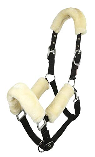LeMieux Comfort Halfter für Pferde - Schwarz/Natur - Weiches Fleecefutter - Verstellbar & Strapazierfähig - X Full LeMieux Comfort Halfter für Pferde - Schwarz/Natur - Weiches Fleecefutter - Verstellbar & Strapazierfähig - X Full von LeMieux