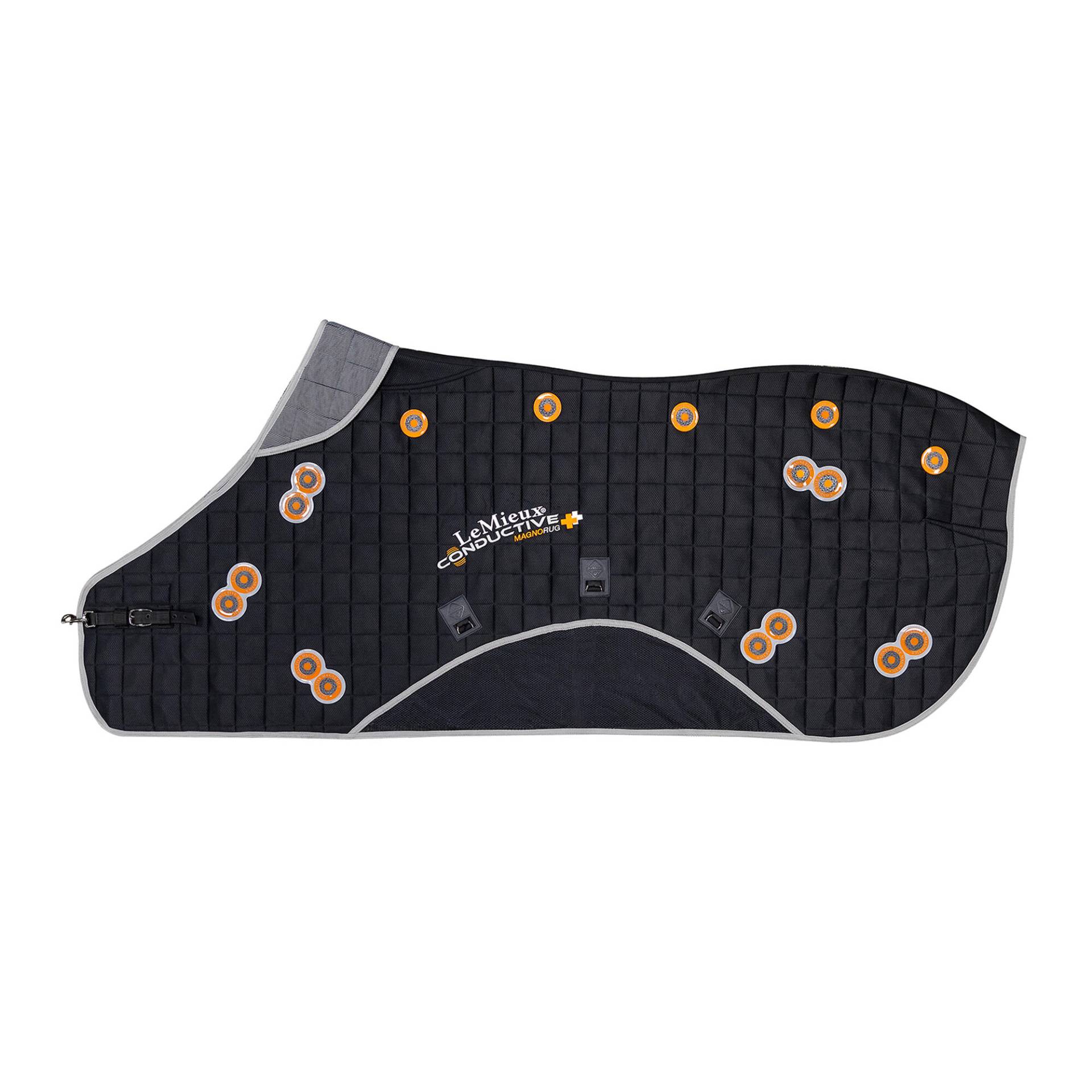 LeMieux Conductive Magnetfeld Therapiedecke Black, L (145 cm - 160cm) von LeMieux