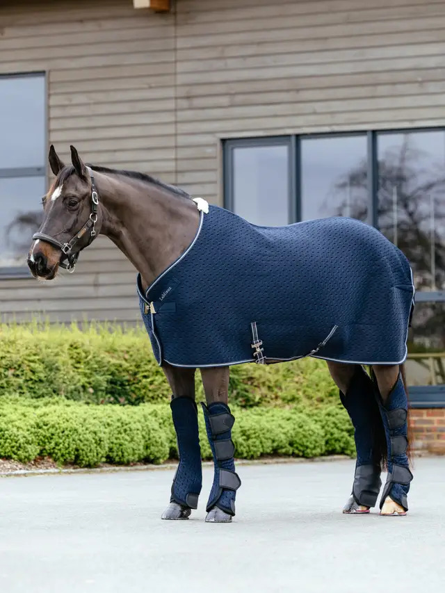 LeMieux Kudos 3D Mesh Travel Rug Navy, 125 cm LeMieux Kudos 3D Mesh Travel Rug Navy, 125 cm von LeMieux