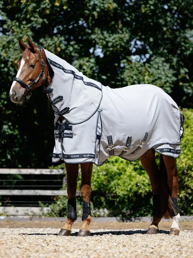 LeMieux Kudos AeroGuard Fly Rug Silver, 145 cm LeMieux Kudos AeroGuard Fly Rug Silver, 145 cm von LeMieux
