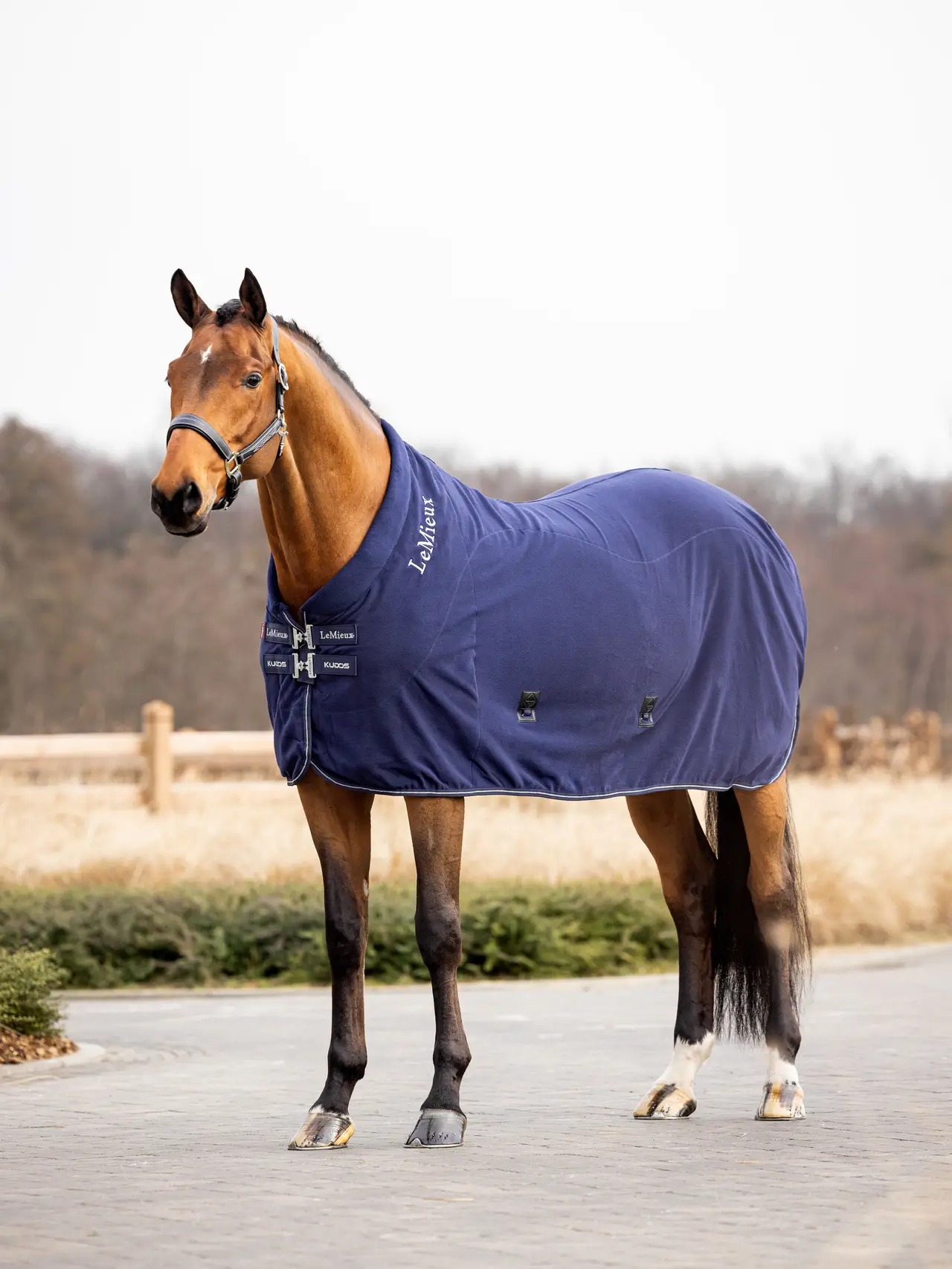 LeMieux Kudos Fleece Cooler Rug Navy, 145 cm LeMieux Kudos Fleece Cooler Rug Navy, 145 cm von LeMieux