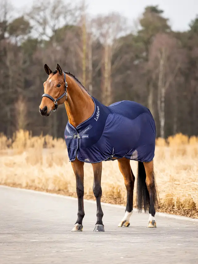 LeMieux Kudos Mesh Sports Cooler Rug Navy, 125 cm LeMieux Kudos Mesh Sports Cooler Rug Navy, 125 cm von LeMieux