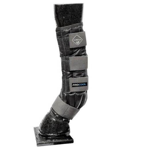 LeMieux ProCool Cold Water Therapiegamaschen Medium von LeMieux