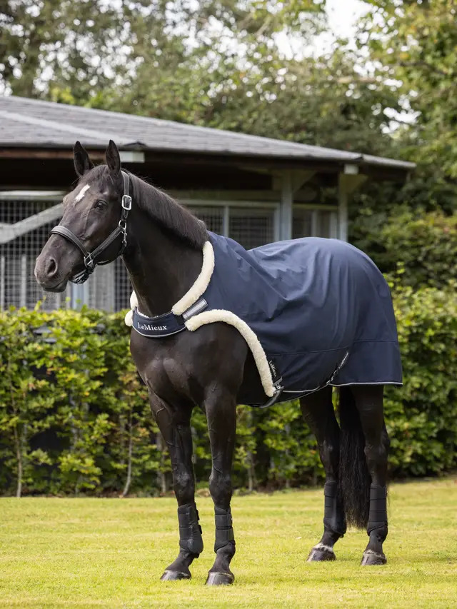 LeMieux Walker Rug Navy, L LeMieux Walker Rug Navy, L von LeMieux