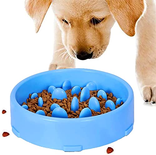 Fütterung Hundenapf, Anti Schling Hundenapf von LeapBeast