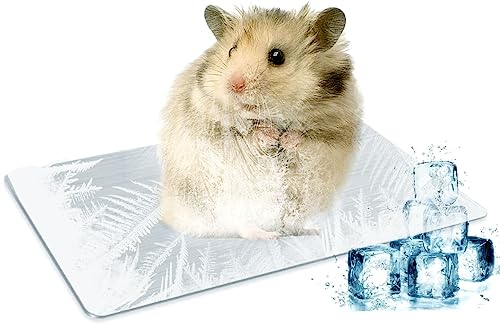 LeapBeast Kühlmatte für Haustiere, Kühlplatte aus Aluminiumlegierung, Sommer-Eisbett zum Kühlen von Haustieren für Meerschweinchen, Hamster, Kaninchen usw (M-12x8CM/1Pcs) von LeapBeast