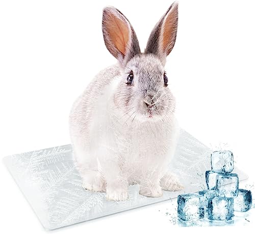 LeapBeast Kühlmatte für Haustiere, Kühlplatte aus Aluminiumlegierung【38*26CM】, Sommer-Eisbett zum Kühlen von Haustieren für Meerschweinchen, Hamster, Kaninchen usw (XL 1Pcs) von LeapBeast