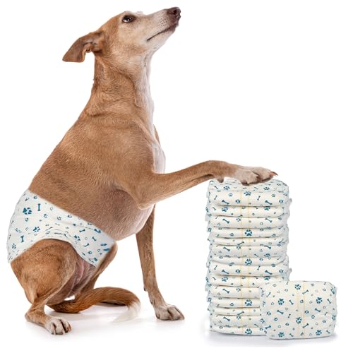 LeapSheep Hundewindeln für Rüden, Einweg-Hundewindeln, super saugfähig, auslaufsicher, mit Nässeindikator, Haustierwindel für Inkontinenz, erregtes Wasserlassen (M, 20 ct) von LeapSheep
