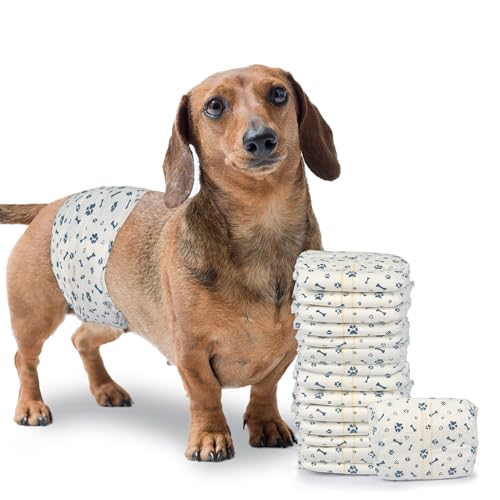 LeapSheep Hundewindeln für Rüden, Einweg-Hundewindeln, super saugfähig, auslaufsicher, mit Nässeindikator, Haustierwindel für Inkontinenz, erregtes Wasserlassen (S, 50 ct) von LeapSheep