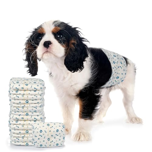 LeapSheep Hundewindeln für Rüden, Einweg-Hundewindeln, super saugfähig, auslaufsicher, mit Nässeindikator, Haustierwindel für Inkontinenz, erregtes Wasserlassen (XS, 50 ct) von LeapSheep