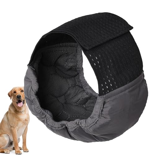 Bauchbänder für männliche Hunde – Welpen-Pipi-Bänder, hoch absorbierende Hundewindeln | Hochsaugfähige Windeln für das Doggie Puppy Training, Bauchbänder für Windeln, Windeln für Rüden und Hündinnen v Bauchbänder für männliche Hunde – Welpen-Pipi-Bänder, hoch absorbierende Hundewindeln | Hochsaugfähige Windeln für das Doggie Puppy Training, Bauchbänder für Windeln, Windeln für Rüden und Hündinnen v von LearnLyrics
