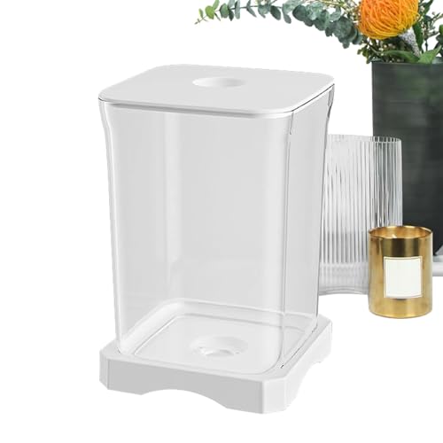 Betta Fischank, Betta Tank - Tischaquarium | Kleines Betta Fischfank-Starter mit rechteckigem Aquarium für LED-Lampen zur Tischdekoration von LearnLyrics