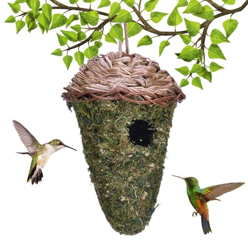 Bummeln für den Außenbereich, natürliches Kolibri-Nest, atmungsaktiver Schutz für den Außenbereich, Kolibris-Sitzstangen, Vogelhäuser zum Aufhängen, für Äste, Baum Bummeln für den Außenbereich, natürliches Kolibri-Nest, atmungsaktiver Schutz für den Außenbereich, Kolibris-Sitzstangen, Vogelhäuser zum Aufhängen, für Äste, Baum von LearnLyrics