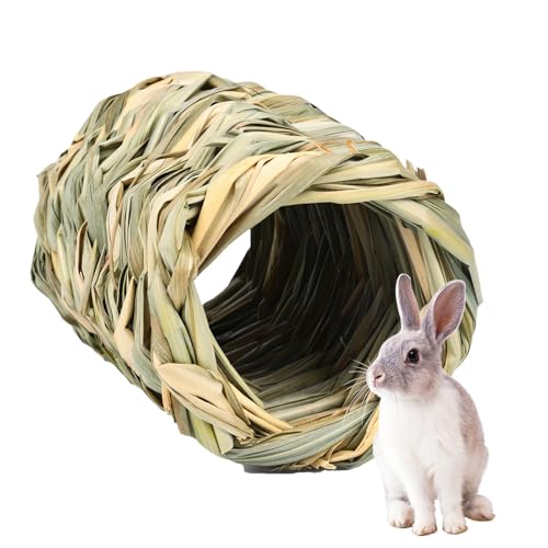 Bunny Hide Tunnel – Kaninchentunnel, natürliches Spielrohr | Kühltaube, Lebensraum für Kleintiere, bequemer Schutzschalter für Hamster Chi Bunny Hide Tunnel – Kaninchentunnel, natürliches Spielrohr | Kühltaube, Lebensraum für Kleintiere, bequemer Schutzschalter für Hamster Chi von LearnLyrics
